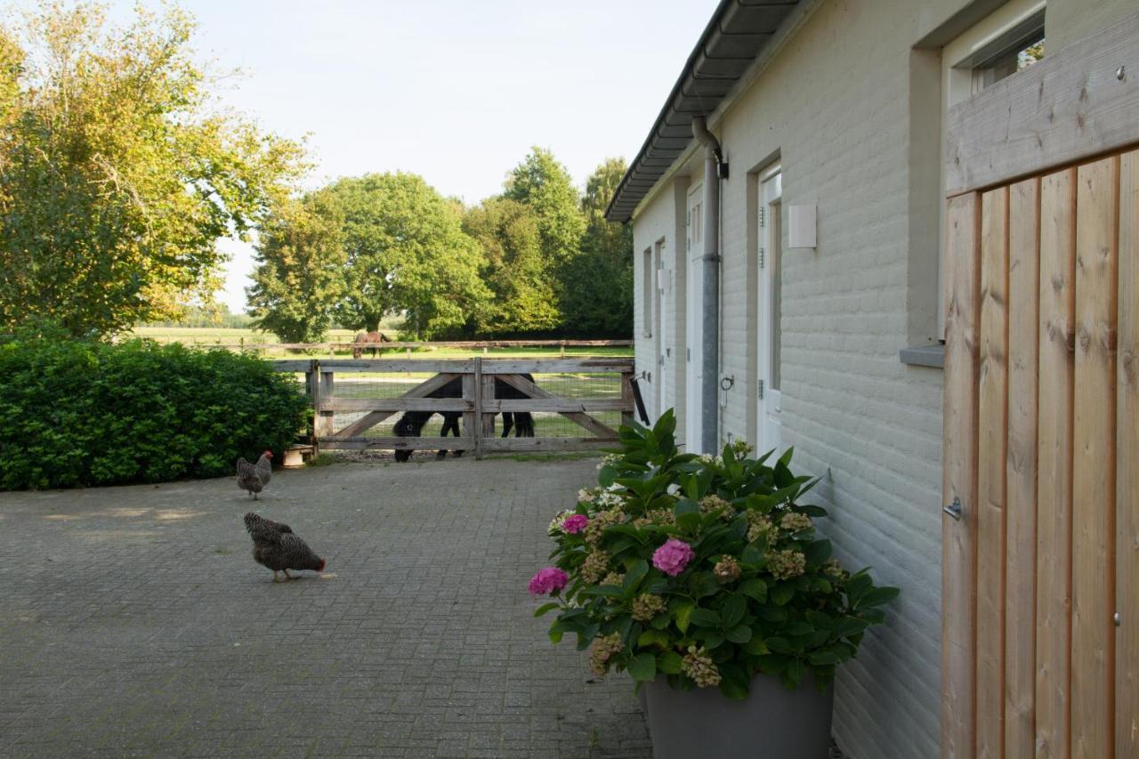 Het Rooversnest Riel Zewnętrze zdjęcie